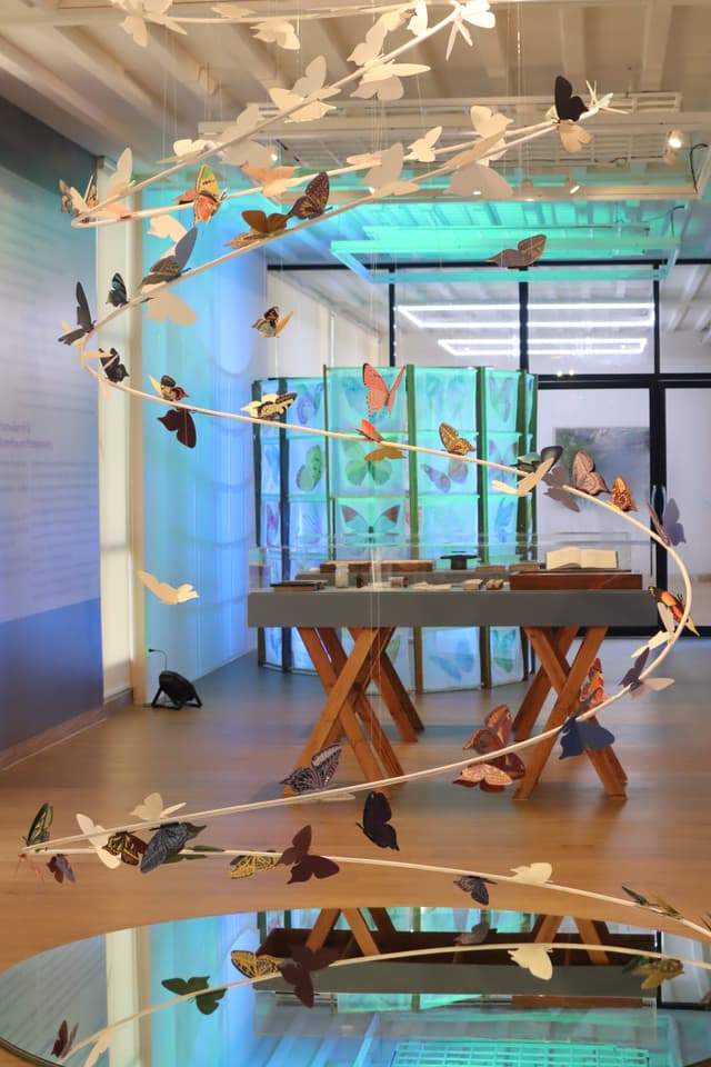 Butterfly Installation Exhibition